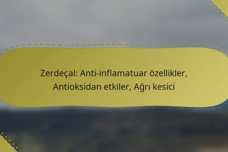 Zerdeçal: Anti-inflamatuar özellikler, Antioksidan etkiler, Ağrı kesici