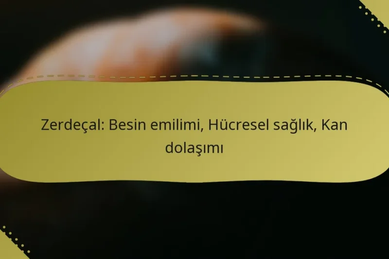 Zerdeçal: Besin emilimi, Hücresel sağlık, Kan dolaşımı