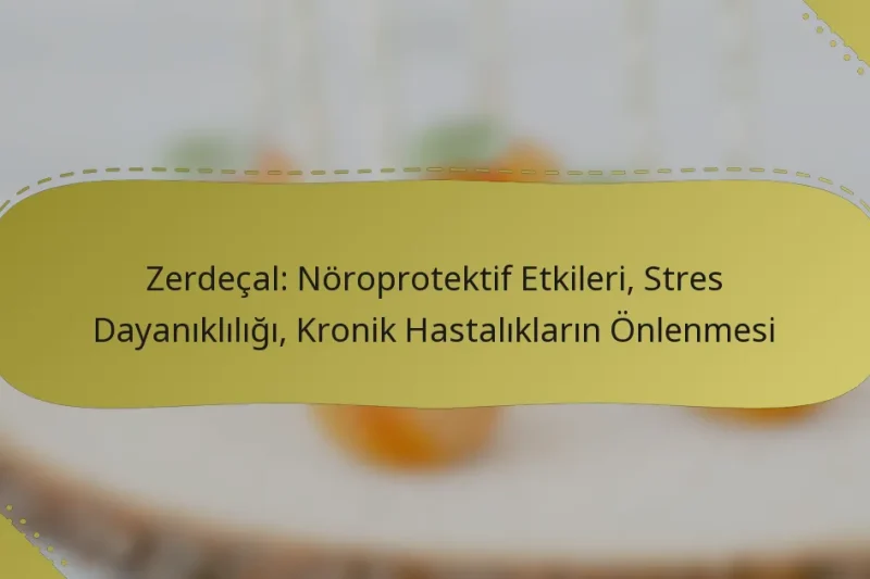 Zerdeçal: Nöroprotektif Etkileri, Stres Dayanıklılığı, Kronik Hastalıkların Önlenmesi