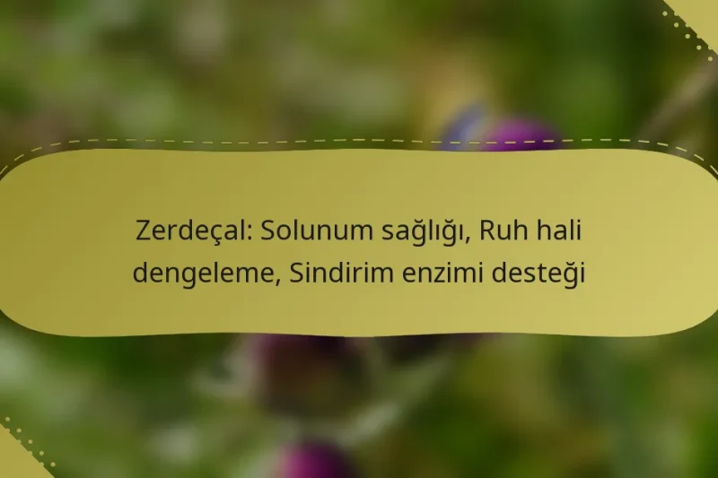 Zerdeçal: Solunum sağlığı, Ruh hali dengeleme, Sindirim enzimi desteği