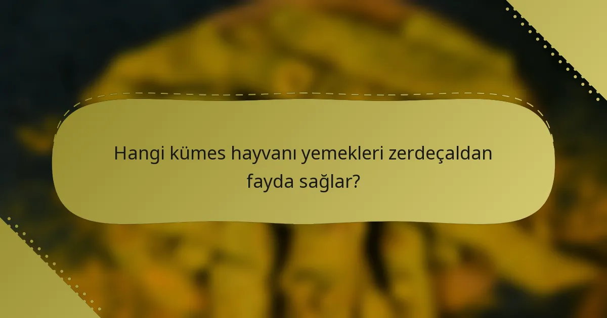 Hangi kümes hayvanı yemekleri zerdeçaldan fayda sağlar?