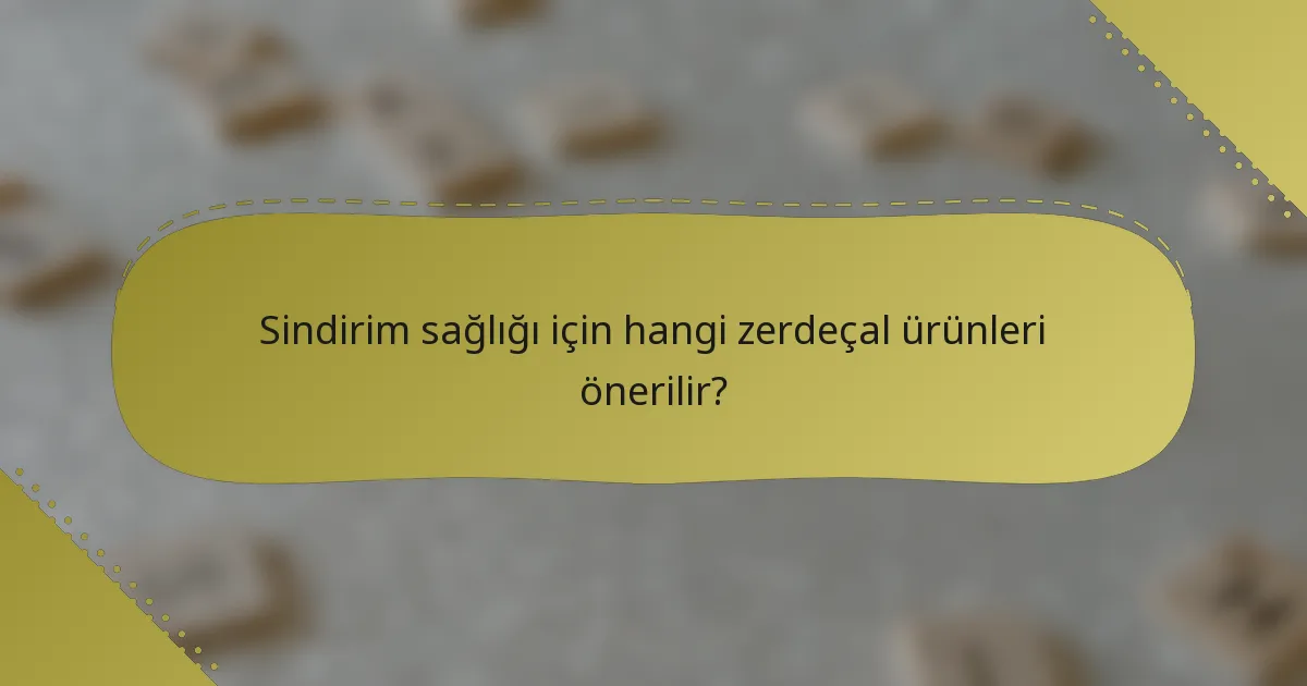Sindirim sağlığı için hangi zerdeçal ürünleri önerilir?