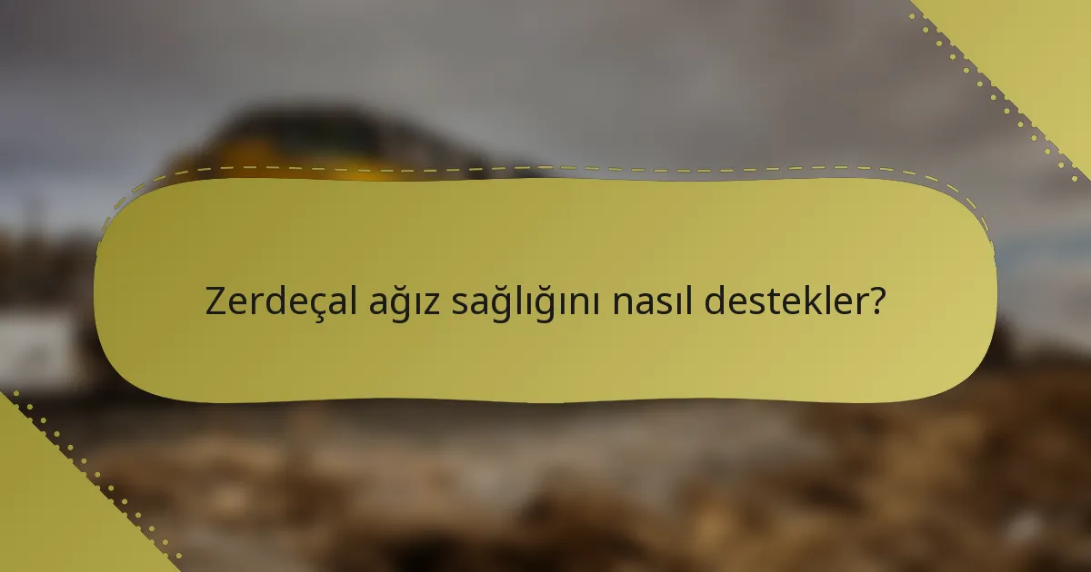 Zerdeçal ağız sağlığını nasıl destekler?