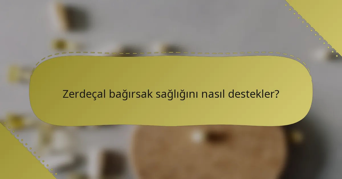 Zerdeçal bağırsak sağlığını nasıl destekler?