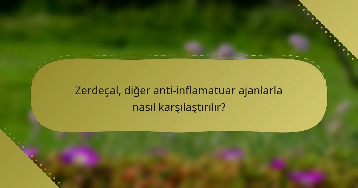 Zerdeçal, diğer anti-inflamatuar ajanlarla nasıl karşılaştırılır?