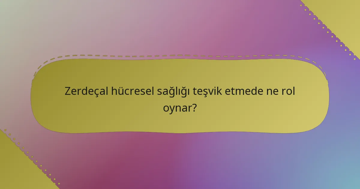 Zerdeçal hücresel sağlığı teşvik etmede ne rol oynar?