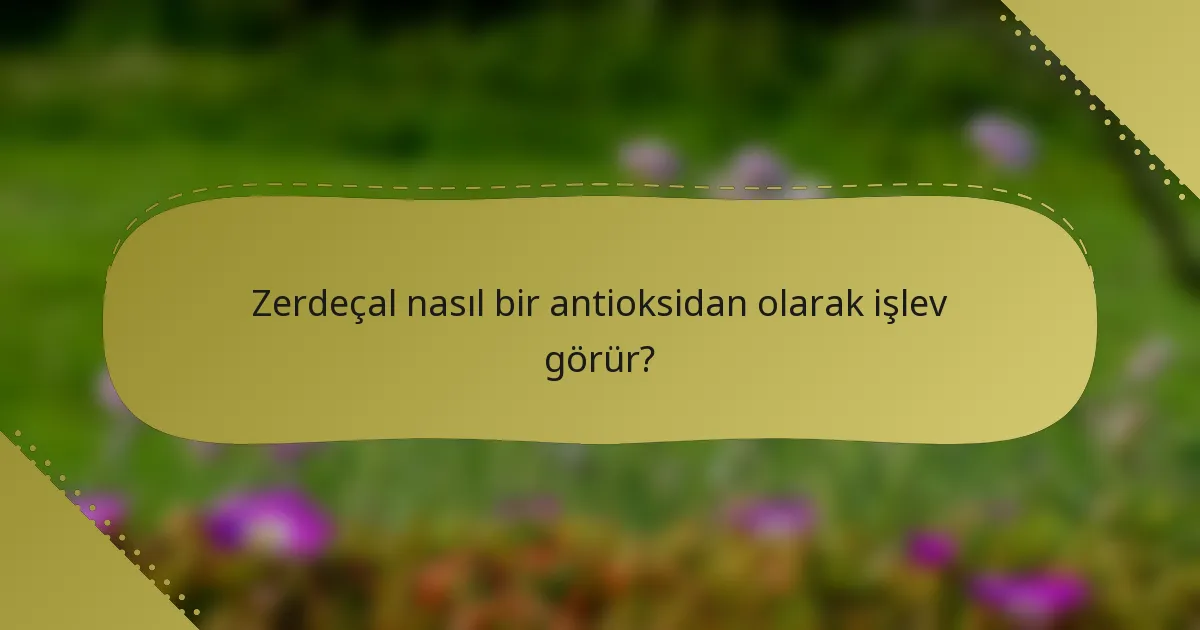 Zerdeçal nasıl bir antioksidan olarak işlev görür?