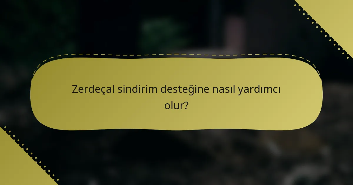 Zerdeçal sindirim desteğine nasıl yardımcı olur?