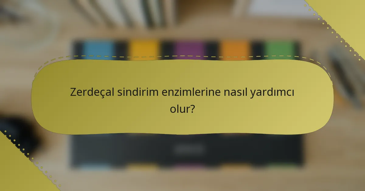 Zerdeçal sindirim enzimlerine nasıl yardımcı olur?