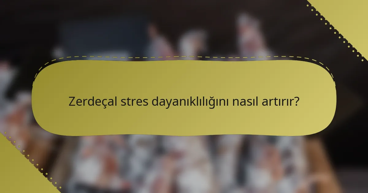 Zerdeçal stres dayanıklılığını nasıl artırır?