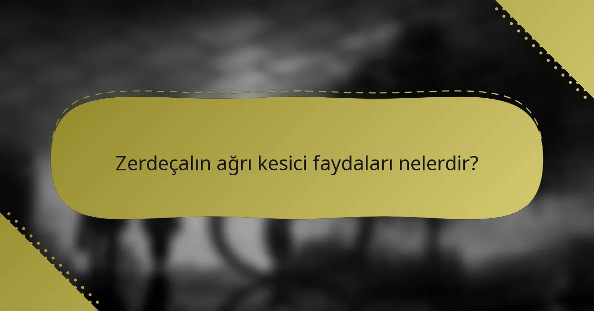 Zerdeçalın ağrı kesici faydaları nelerdir?