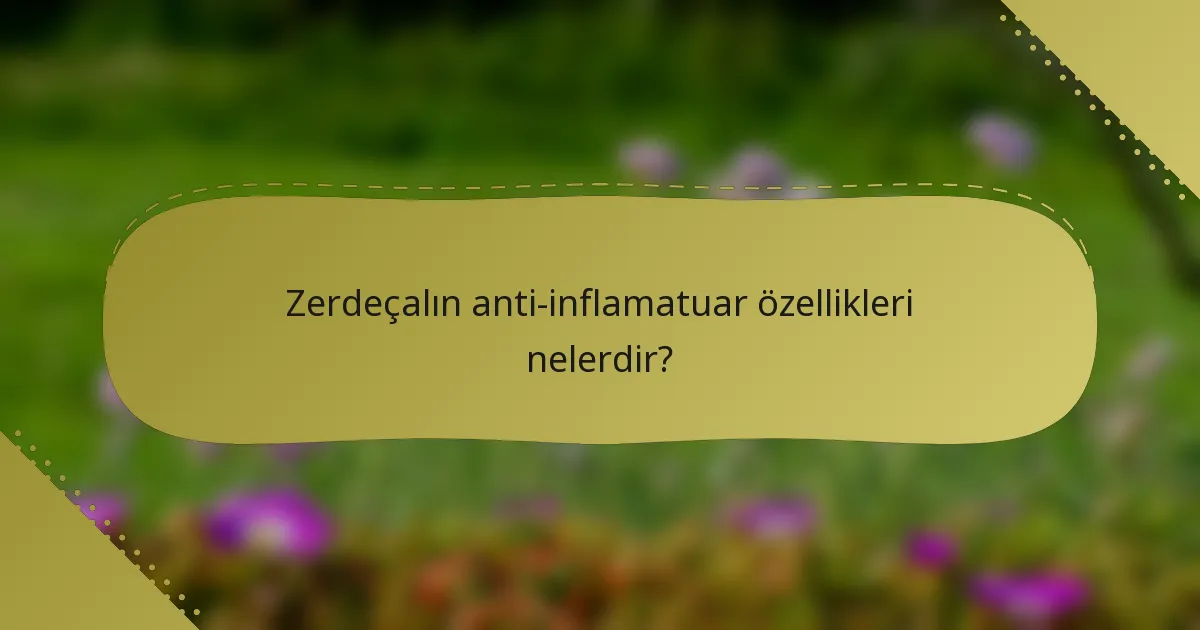 Zerdeçalın anti-inflamatuar özellikleri nelerdir?
