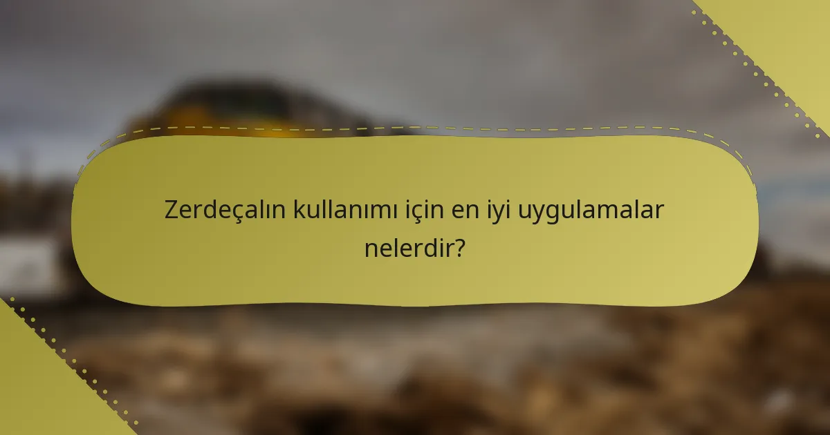 Zerdeçalın kullanımı için en iyi uygulamalar nelerdir?