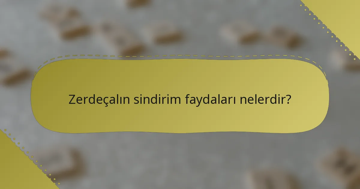 Zerdeçalın sindirim faydaları nelerdir?