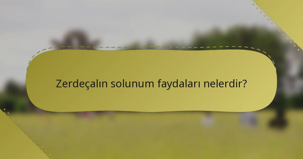 Zerdeçalın solunum faydaları nelerdir?