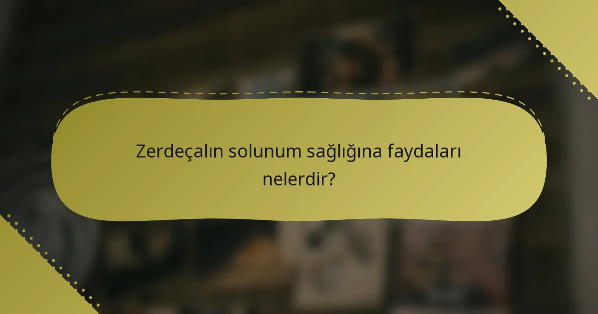 Zerdeçalın solunum sağlığına faydaları nelerdir?