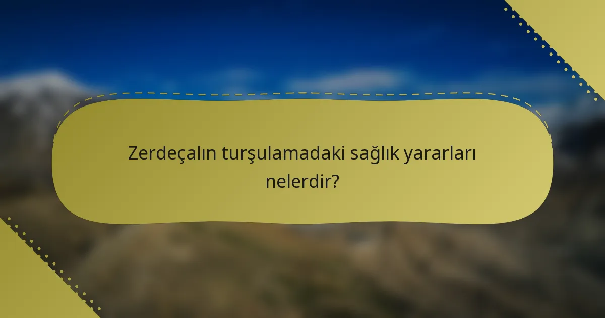 Zerdeçalın turşulamadaki sağlık yararları nelerdir?